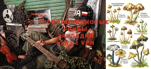 a pvp Армянск