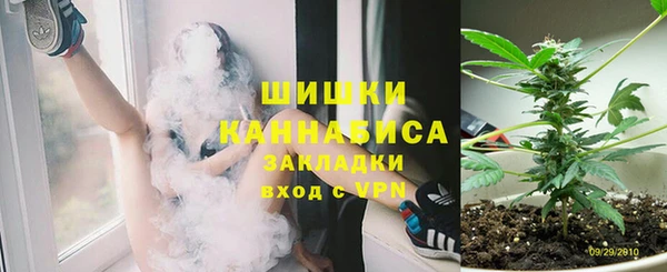 PSILOCYBIN Баксан