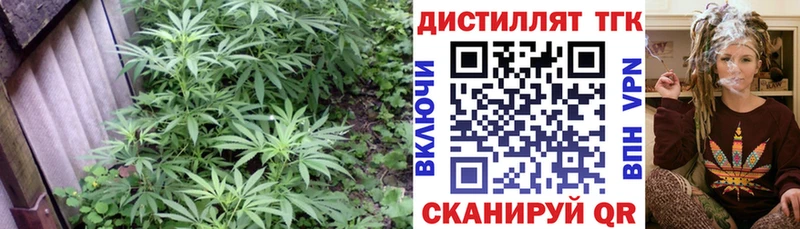 Дистиллят ТГК гашишное масло  hydra ССЫЛКА  Шатура 